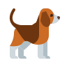 Cane